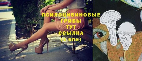 трава Армянск
